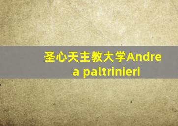 圣心天主教大学Andrea paltrinieri